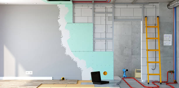 Mold Documentation for Insurance Claims in Slaughter, LA