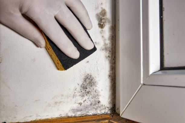 Best Indoor Air Quality Assessment  in Sughter, LA
